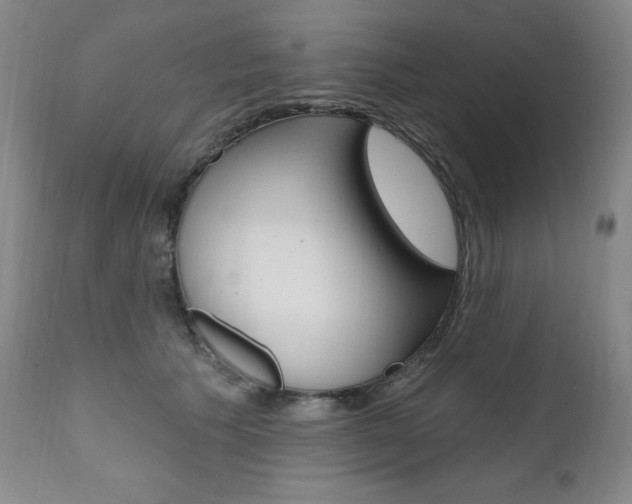 X0000111020609200906191232