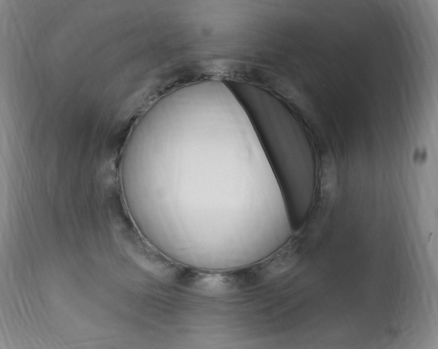 X0000111020611200906191232