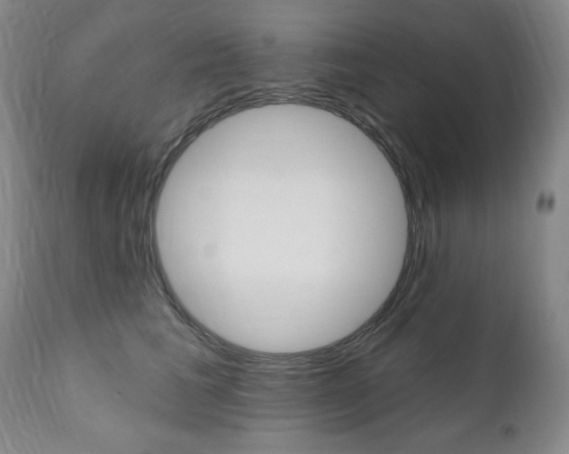 X0000111020613200906191232
