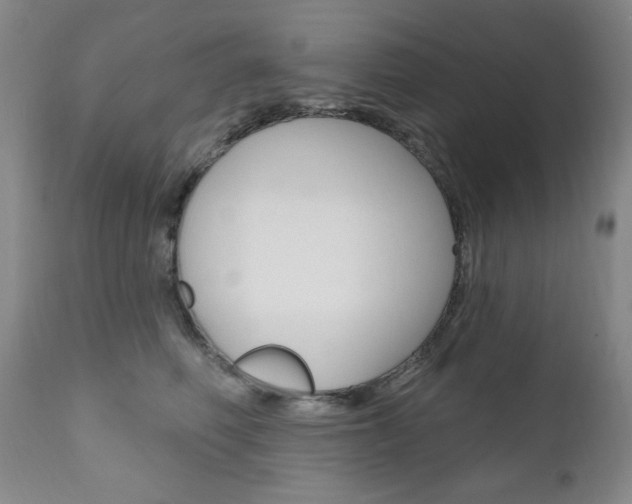 X0000111020614200906191232