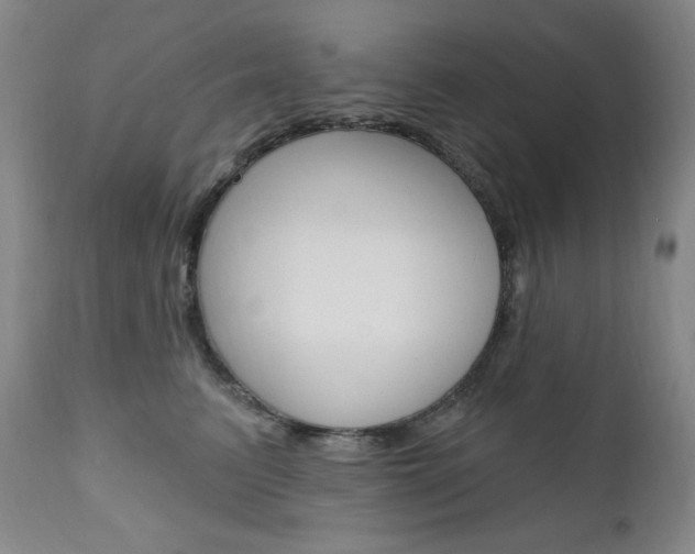 X0000111020615200906191232