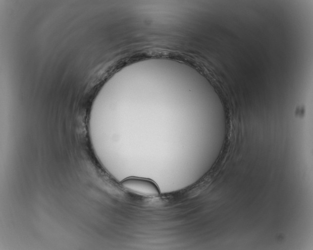 X0000111020616200906191232
