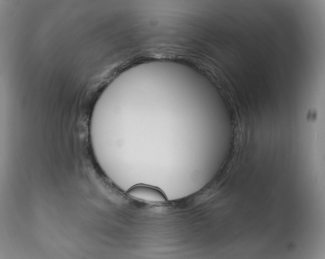 X0000111020620200906191232
