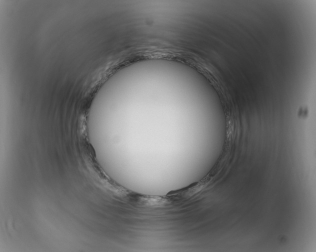 X0000111020621200906191232