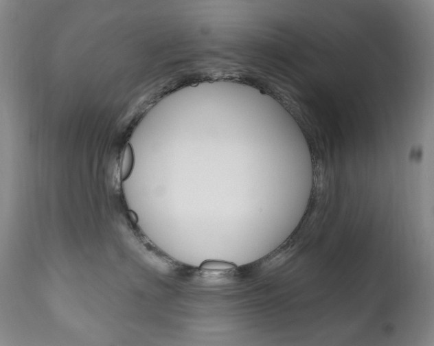 X0000111020622200906191232