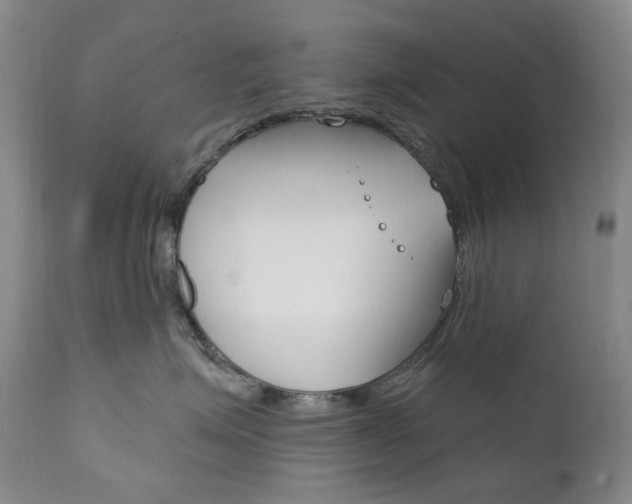 X0000111020623200906191232
