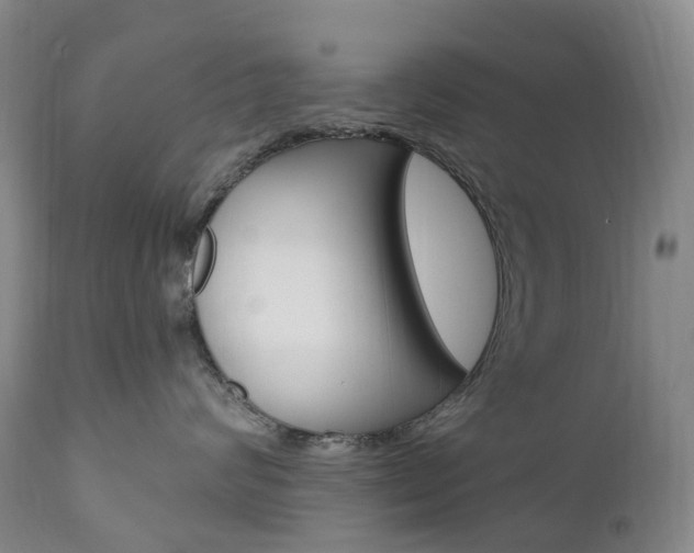 X0000111020624200906191232