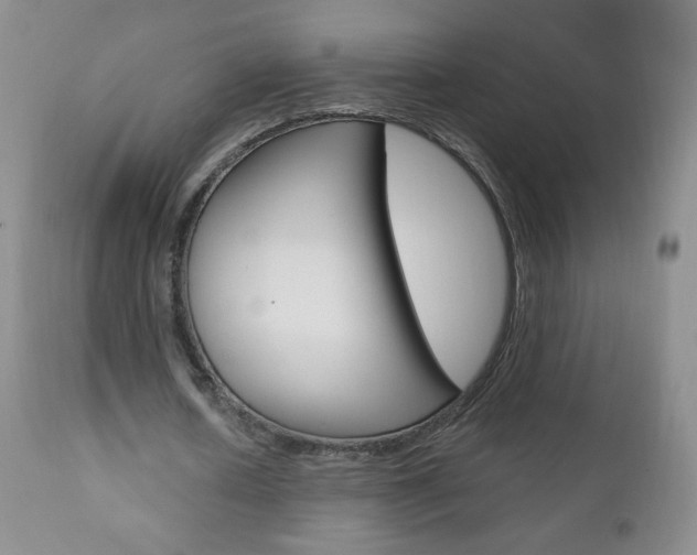 X0000111020626200906191231