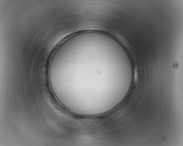 X0000111020627200906191231