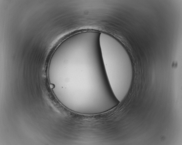 X0000111020628200906191231