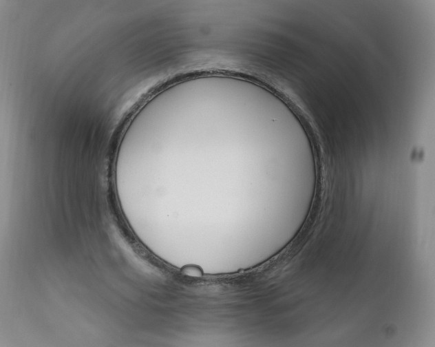 X0000111020629200906191231