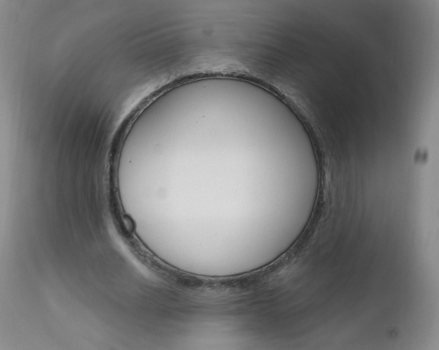 X0000111020630200906191231