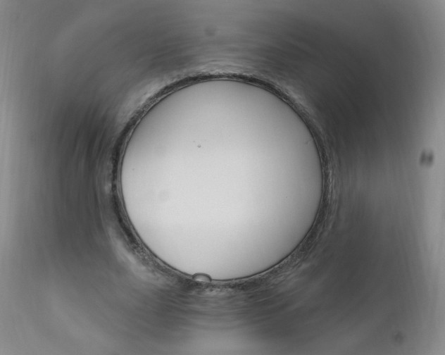 X0000111020631200906191231