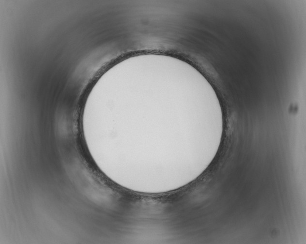 X0000111020632200906191231