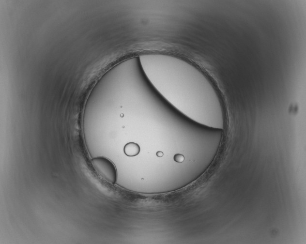 X0000111020633200906191231