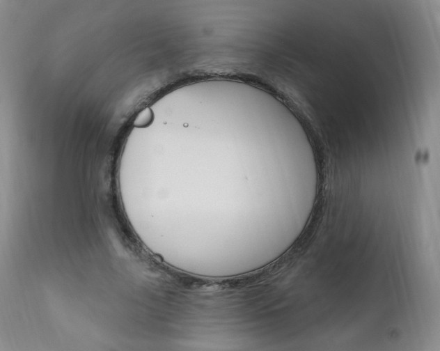 X0000111020635200906191231