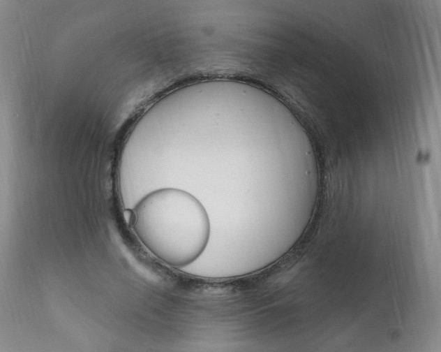 X0000111020638200906191231