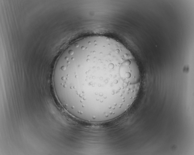 X0000111020639200906191231