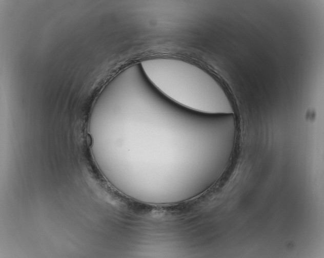 X0000111020641200906191231