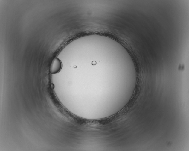 X0000111020642200906191231