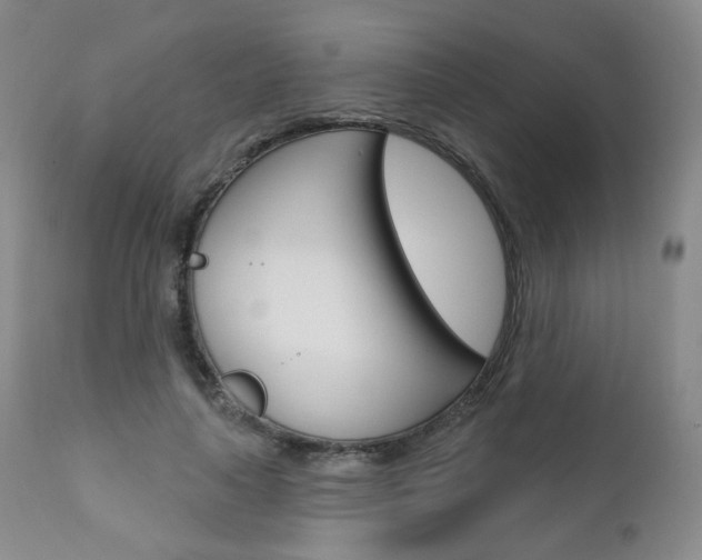 X0000111020643200906191231