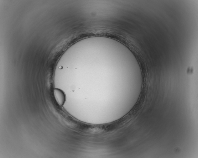 X0000111020644200906191231