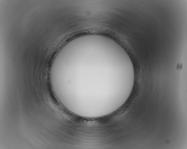 X0000111020645200906191231