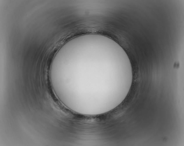 X0000111020646200906191231