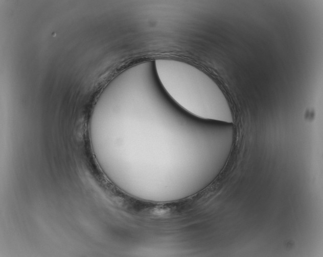 X0000111020647200906191231