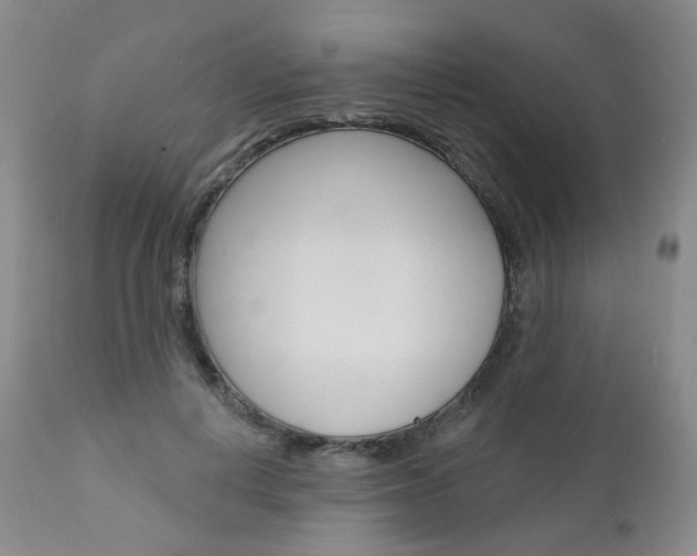X0000111020648200906191231