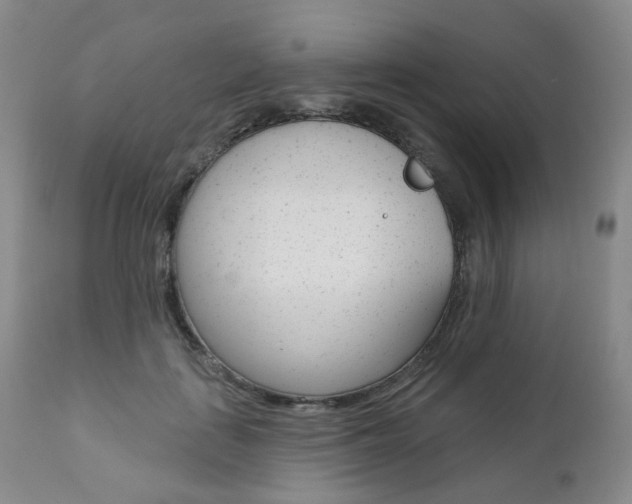 X0000111020651200906191232