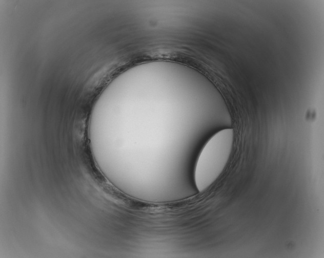 X0000111020652200906191232