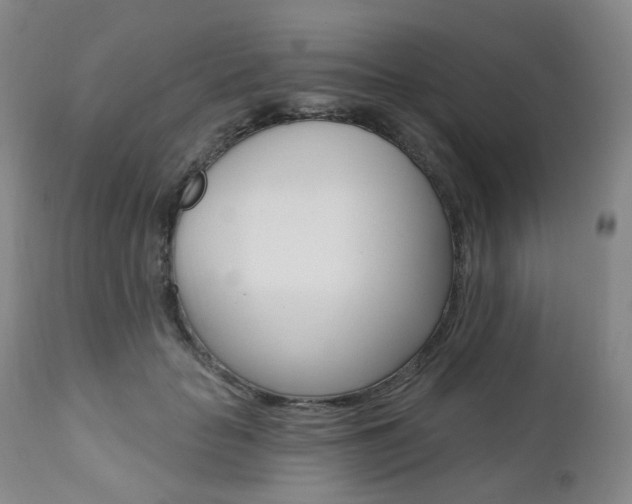 X0000111020653200906191232