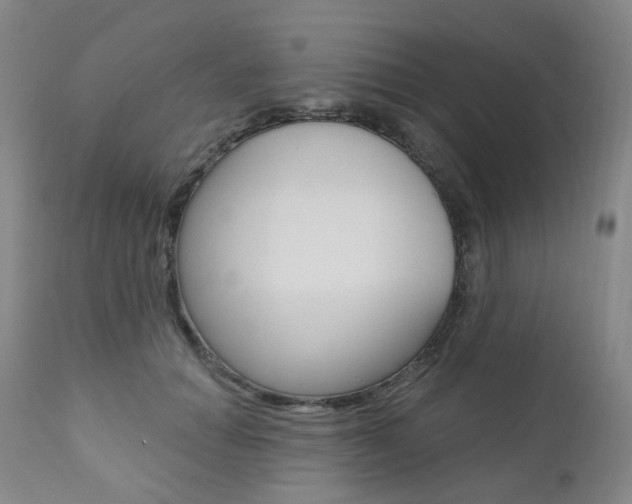 X0000111020654200906191232