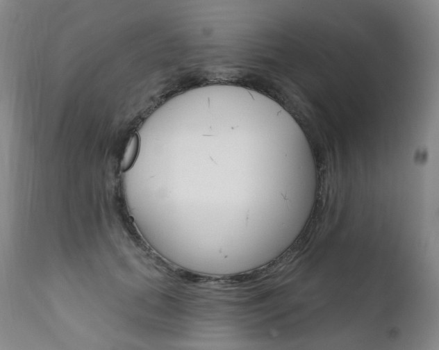 X0000111020655200906191232