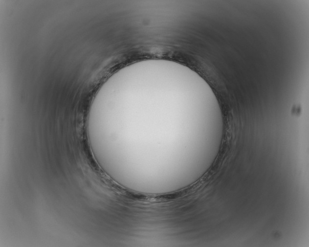 X0000111020656200906191232