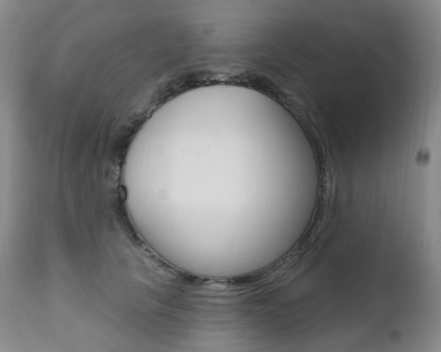 X0000111020657200906191232