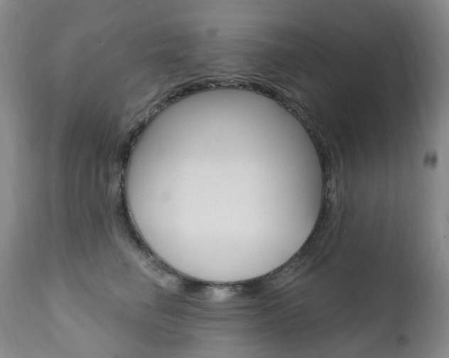 X0000111020662200906191232
