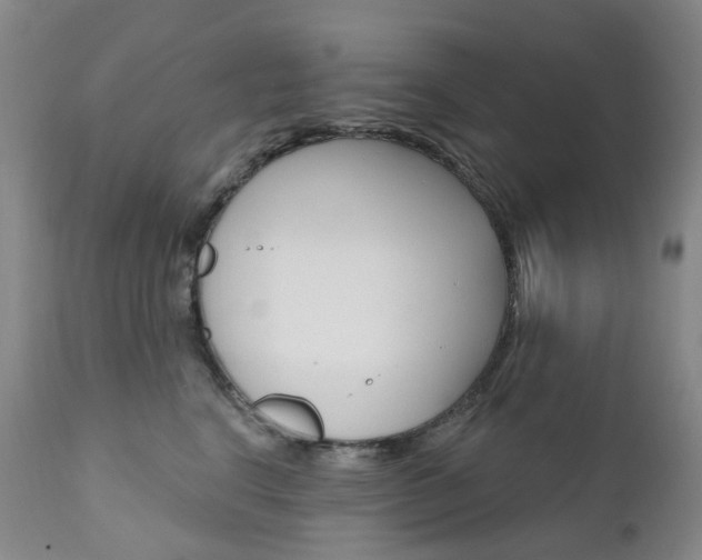 X0000111020664200906191232