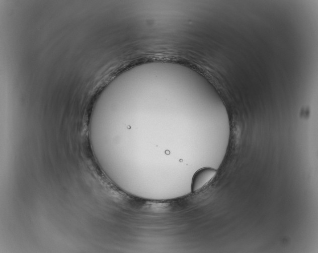 X0000111020665200906191232