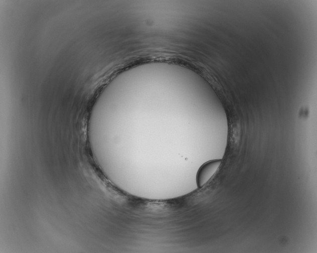 X0000111020666200906191232