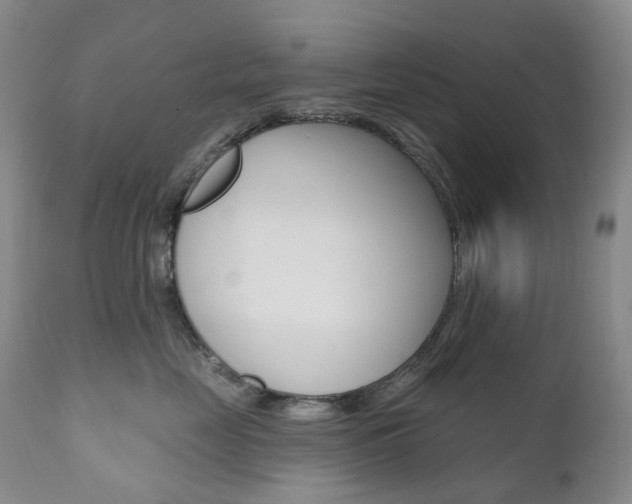 X0000111020669200906191232
