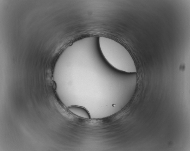 X0000111020670200906191232