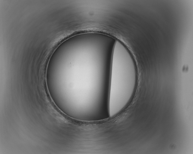 X0000111020673200906191231