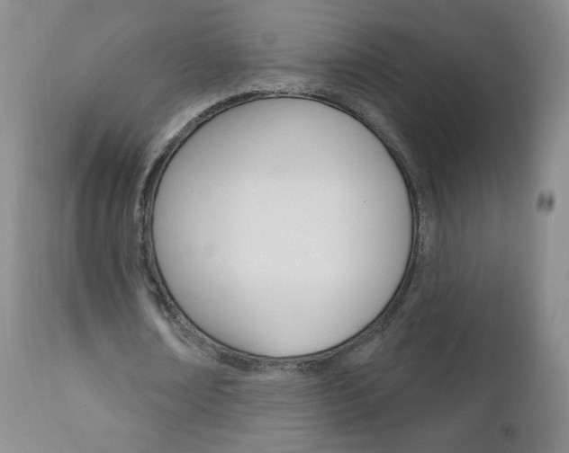 X0000111020674200906191231