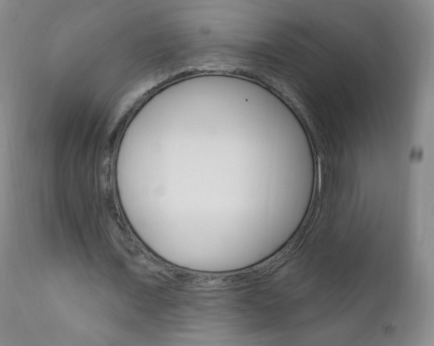 X0000111020675200906191231