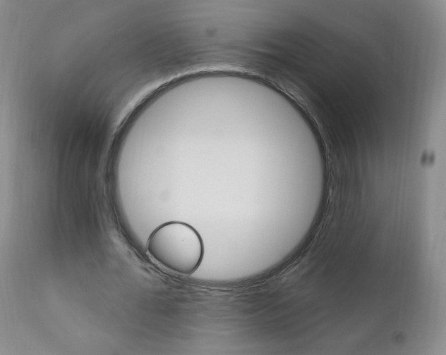 X0000111020676200906191231