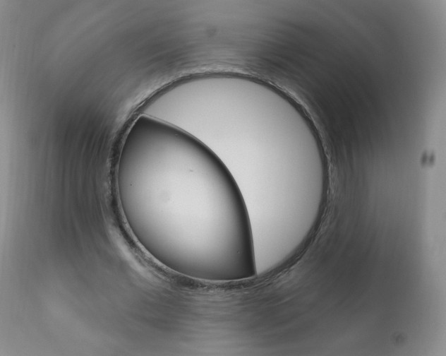 X0000111020677200906191231