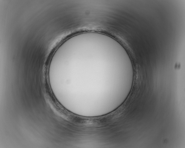 X0000111020678200906191231