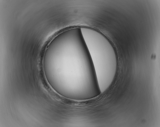 X0000111020680200906191231